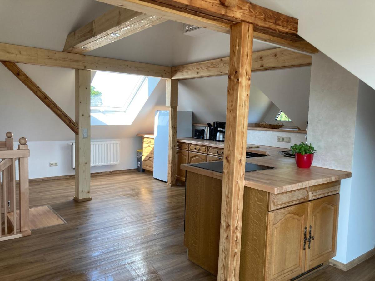 Apartment-Haus Landeskrone Dresden Dış mekan fotoğraf